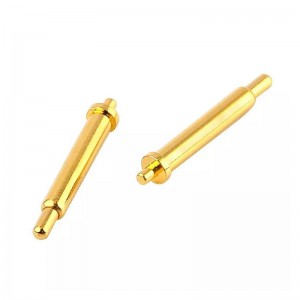 Pionna luchtaithe an earraigh