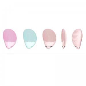 Scuab aghaidhe sileacain