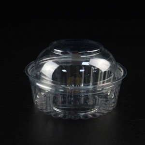 Bowl Sailéad Torthaí Plaisteacha In -athchúrsáilte 10oz