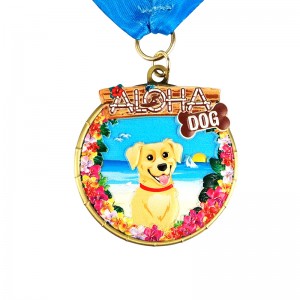 Bonn Halo Bonn saincheaptha déanta boinn gan teorainn hala