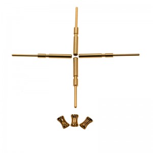 Kroonivedru pin ja pesa