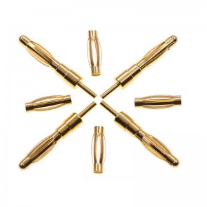 breiseán agus soicéad banana