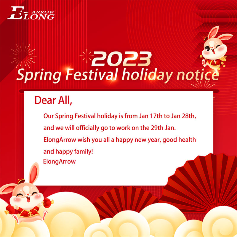 Saoire Earraigh Elongarrow