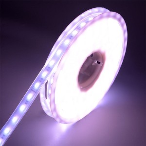 5050 60leds Stráice faoi stiúir WRGBWW
