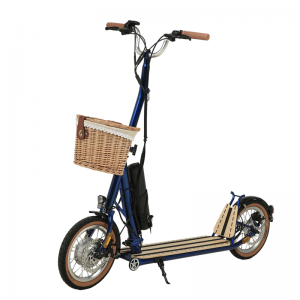 H10- 14inch Scooter Leictreach Folding Dúbailte