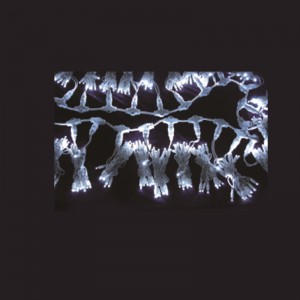 Socraigh Solasna Nollag faoi stiúir