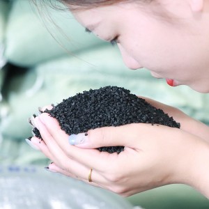 Gráinníní rubair SBR