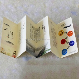 Lámhleabhar Teagaisc Táirgí Folding Orgán