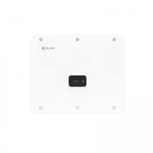 SN25 (x)n30n33n36n40pt