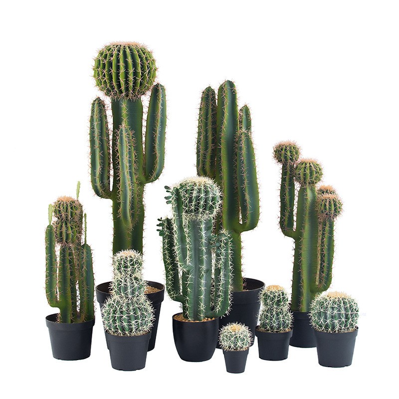 Plandaí cactus saorga cactus saorga saincheaptha saincheaptha ar ardchaighdeán faux cactus
