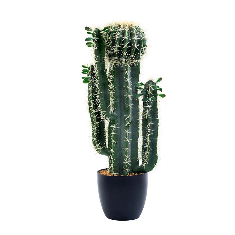 Plandaí cactus saorga cactus saorga saincheaptha saincheaptha ar ardchaighdeán faux cactus