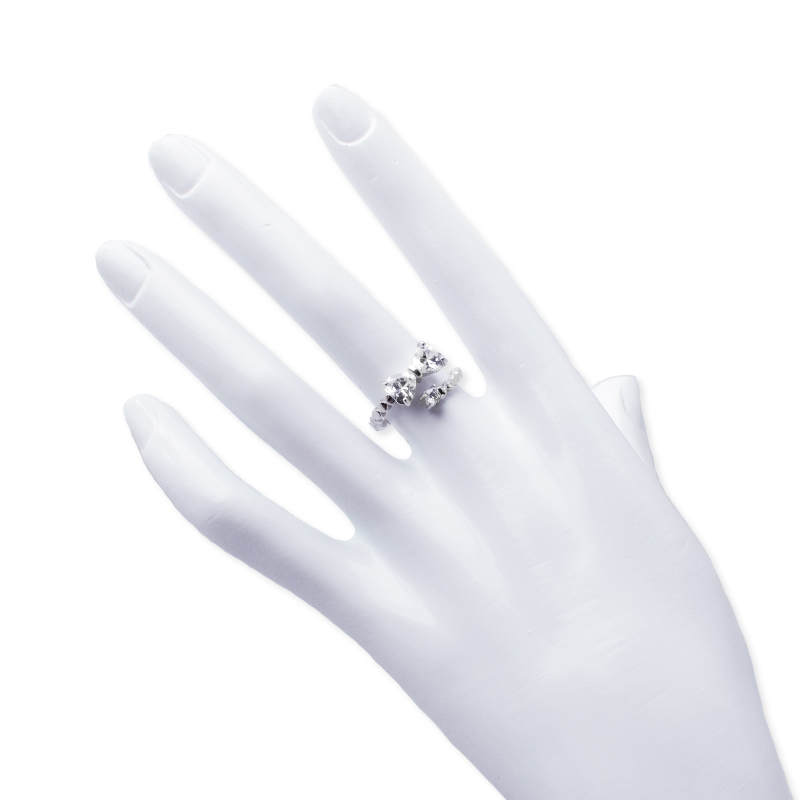 Fáinne cineál snasta Hongde