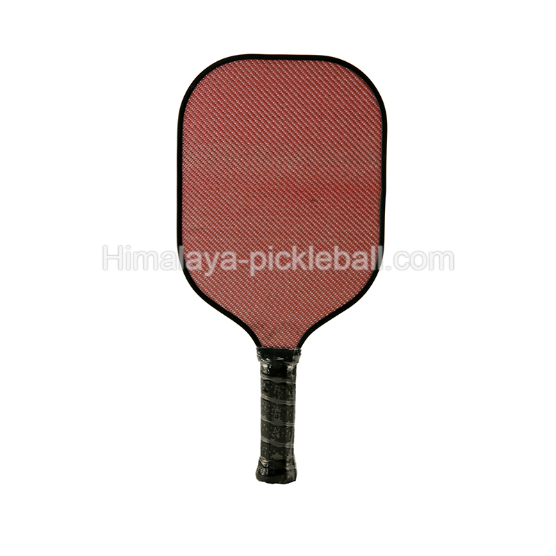 Paddle pickleball 1a