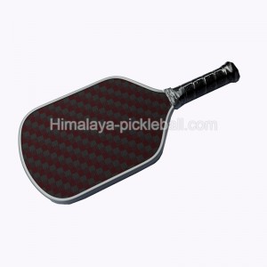 Paddle Pickleball 21a
