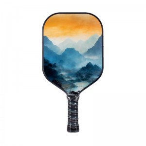 Paddleball pickleball 1B