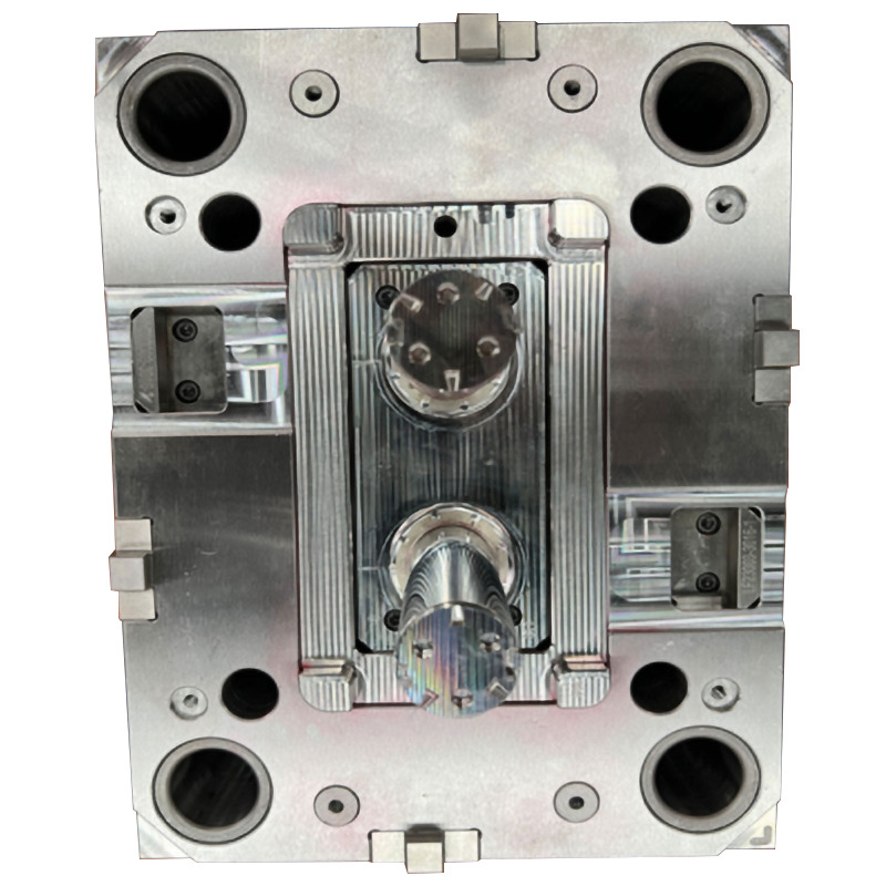 Múnla cruinneas il cuas ibi-6