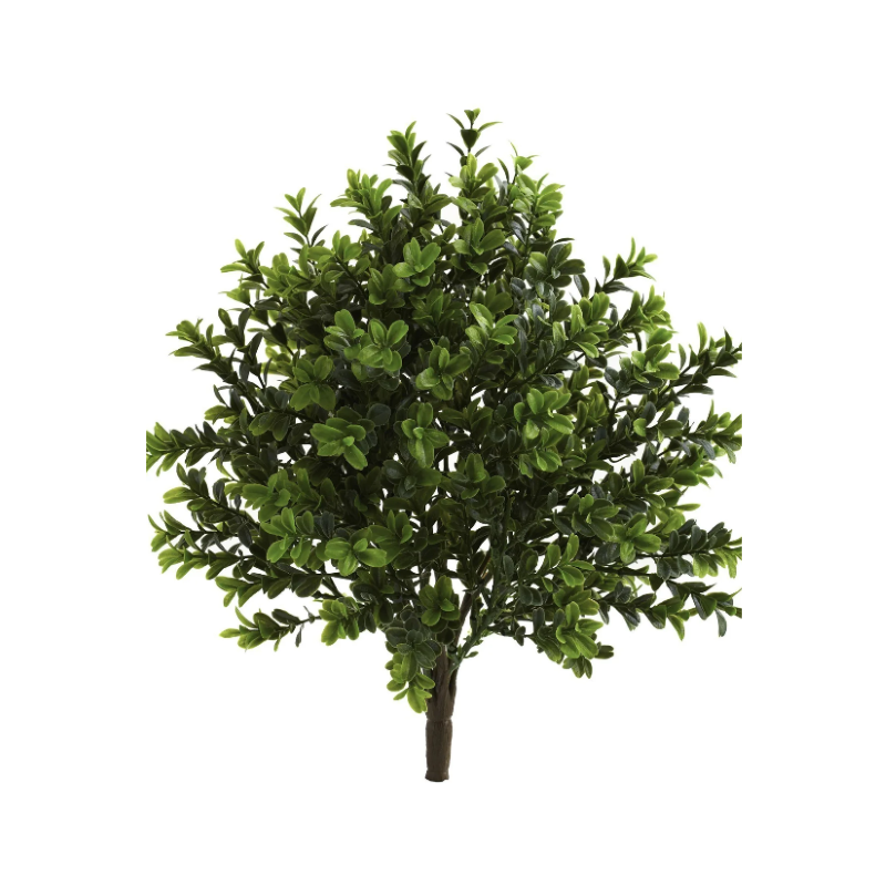 Péinteanna tadhaill fíor(dhíon&amuigh faoin aer)