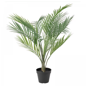 Gléasra potaithe saorga