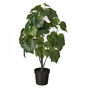 Gléasra potaithe saorga