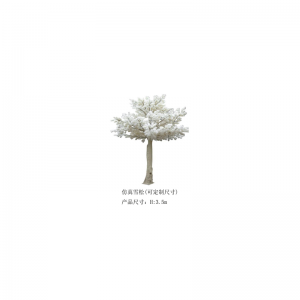 Cedar saorga(saincheaptha)