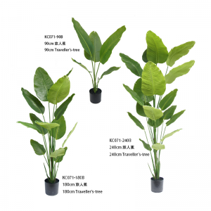 Crann an lucht siúil