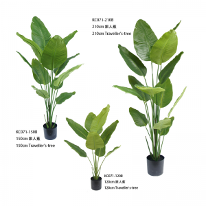 Crann an lucht siúil