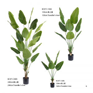 Crann an lucht siúil