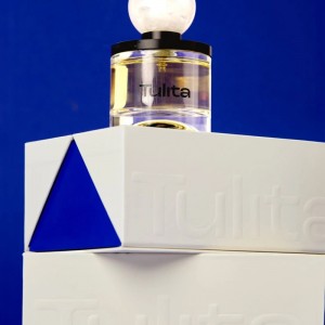 Bosca maighnéadach bunúsach